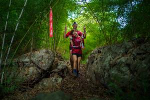 BIB: 
                            <button type="button" onclick="openModal(22089387)" class="btn btn-primary btn-sm float-right btn-popup" data-toggle="modal" data-target=".modal-high-quality">
                        <i class="fas fa-shopping-cart"></i> Add to Cart
                    </button>
                                            <button type="button" onclick="isThisMe(22089387, true)" class="btn btn-success btn-sm float-right btn-popup btn-isme hidden" data-toggle="tooltip" data-placement="bottom" title="นี่คือรูปของคุณใช่ไหม คลิกที่นี่เพื่อเอาเข้าอัลบั้ม">
                        <i class="fas fa-plus"></i> Add to album
                    </button>
                    <button type="button" onclick="isThisMe(22089387, false)" class="btn btn-warning btn-sm float-right btn-popup btn-isnotme hidden">
                        <i class="fas fa-ban"></i> Remove from album
                    </button>